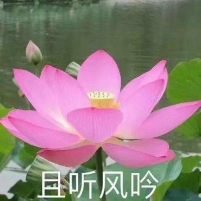 玛法灭世最新版下载